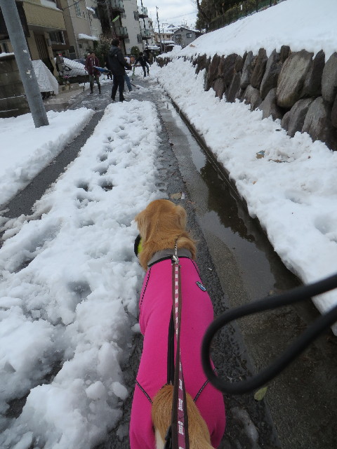 ファイル 4123-4.jpg