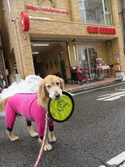 ファイル 4123-5.jpg