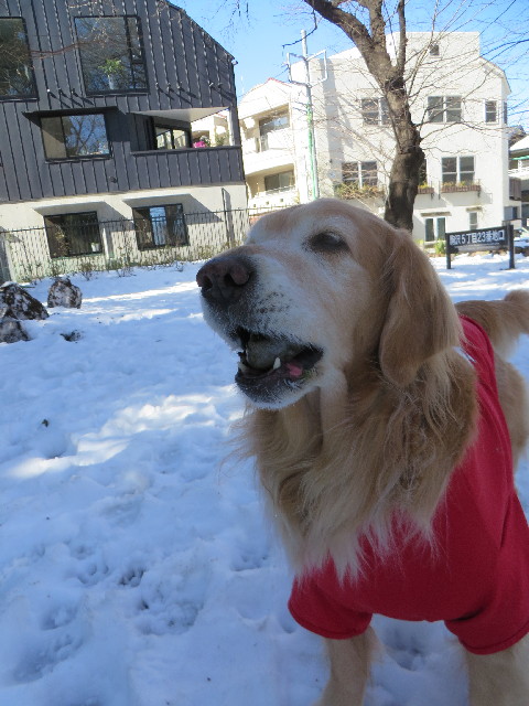 ファイル 4125-3.jpg