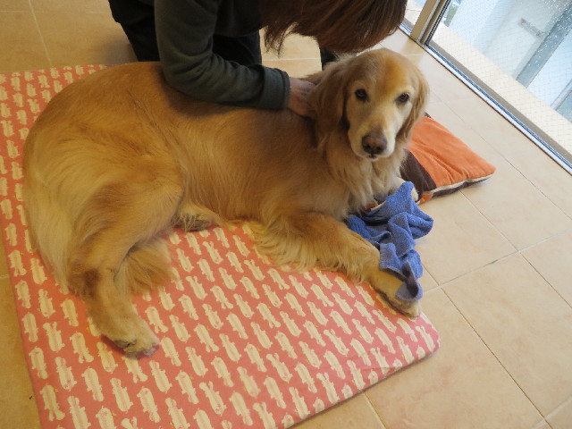 ファイル 4125-4.jpg