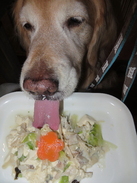 ファイル 4127-4.jpg