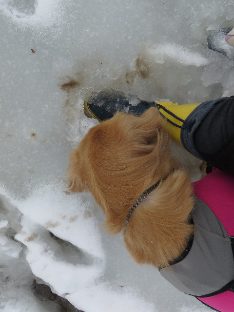 ファイル 4129-4.jpg