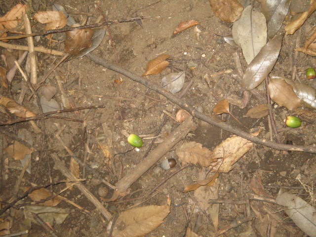 ファイル 413-2.jpg