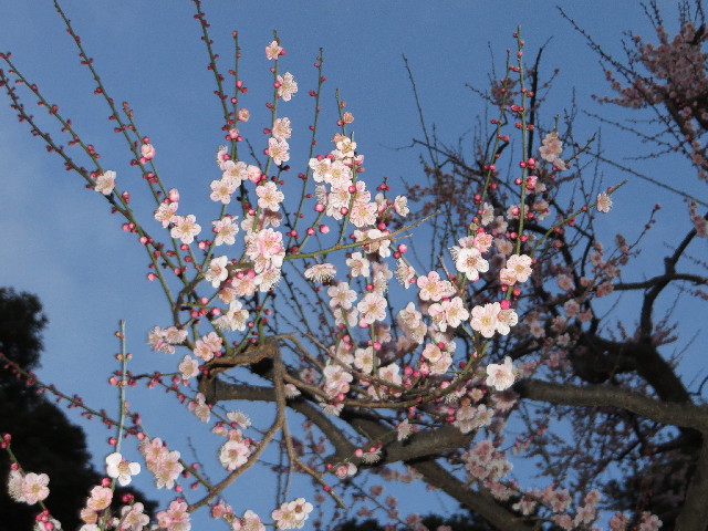 ファイル 4130-4.jpg