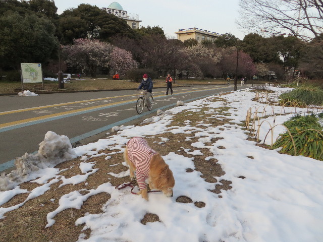 ファイル 4131-1.jpg