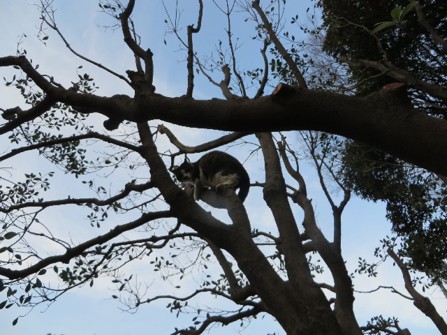 ファイル 4132-4.jpg