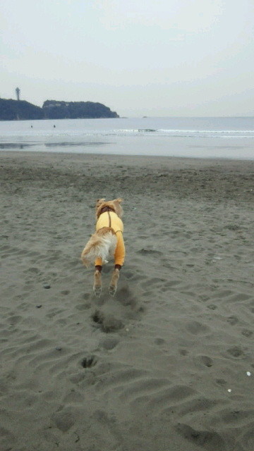 ファイル 4133-1.jpg