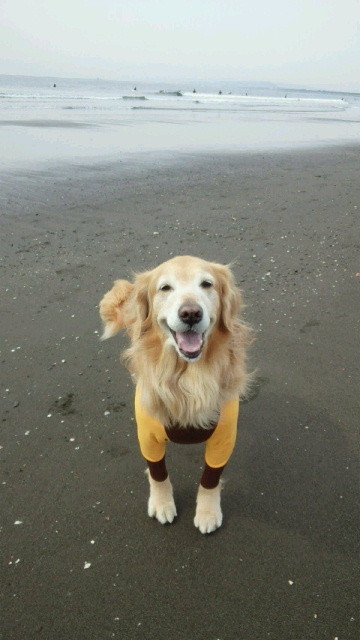 ファイル 4133-3.jpg