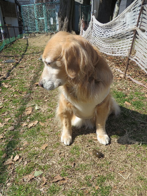 ファイル 4134-4.jpg