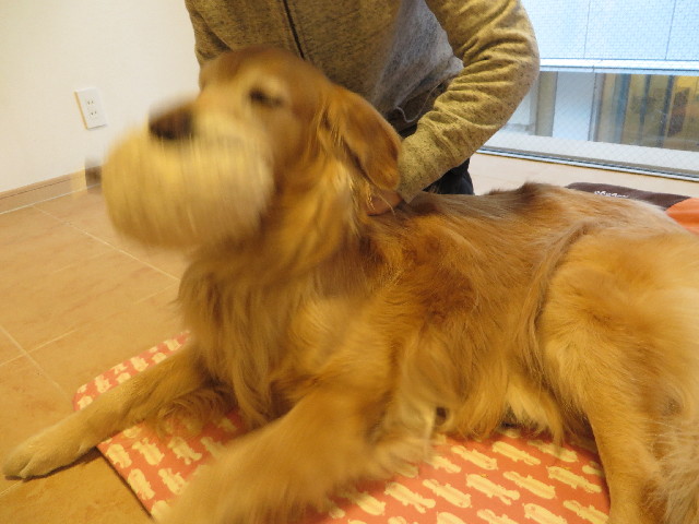 ファイル 4134-5.jpg