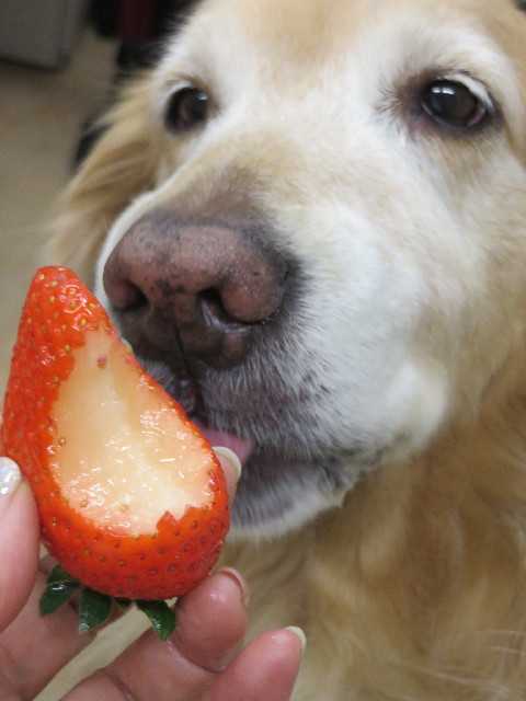 ファイル 4138-4.jpg