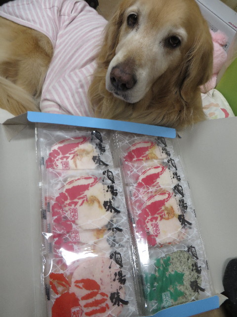 ファイル 4138-5.jpg