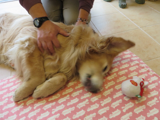 ファイル 4139-1.jpg