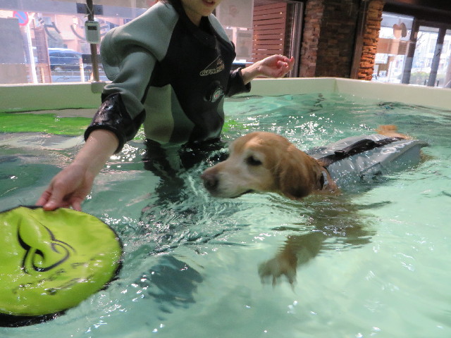 ファイル 4139-4.jpg