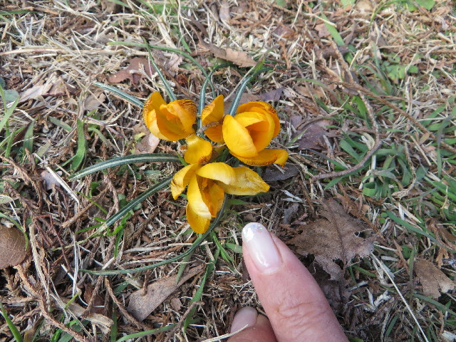 ファイル 4141-5.jpg