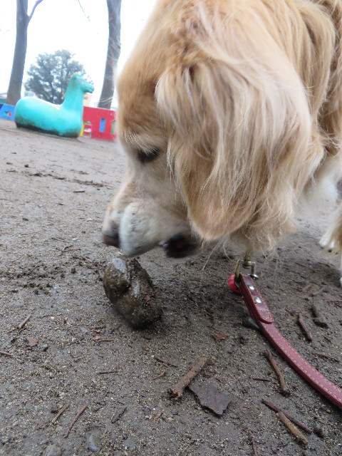 ファイル 4146-4.jpg