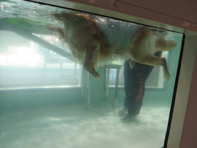 ファイル 4148-3.jpg