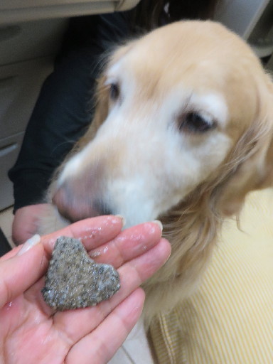 ファイル 4148-5.jpg