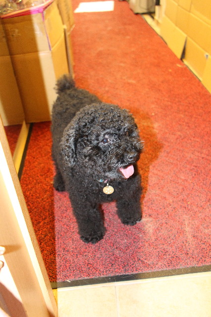 ファイル 4149-2.jpg