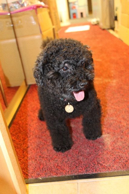 ファイル 4149-3.jpg