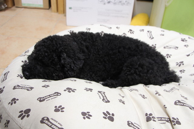 ファイル 4149-5.jpg