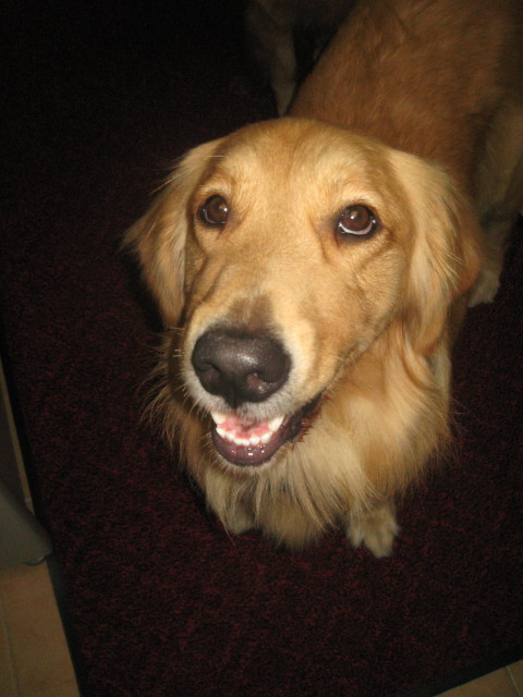 ファイル 415-2.jpg