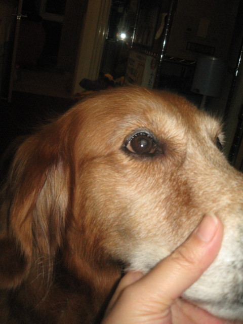 ファイル 415-4.jpg