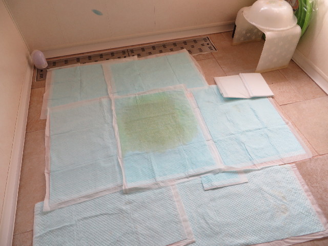 ファイル 4151-1.jpg