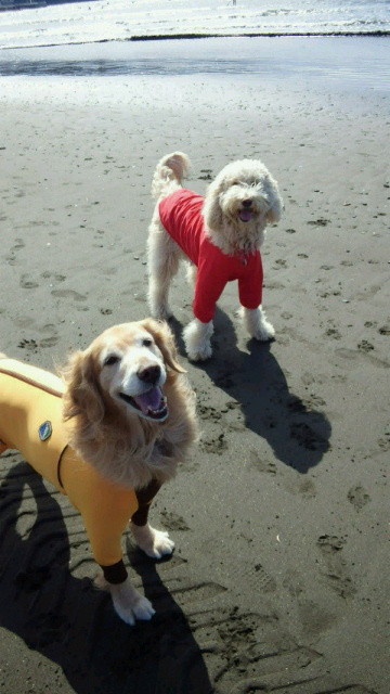 ファイル 4154-5.jpg