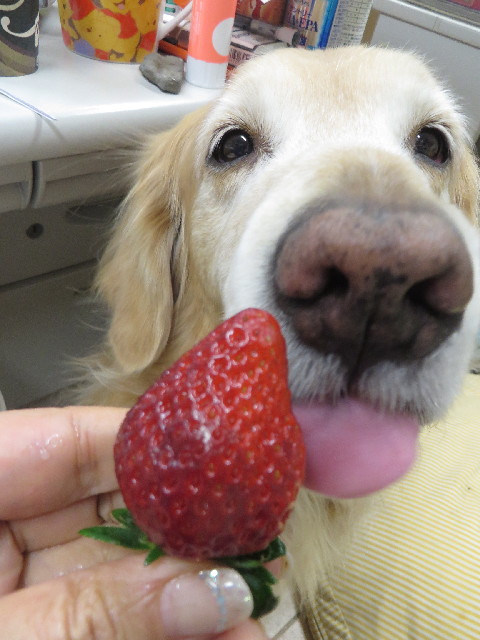 ファイル 4158-3.jpg