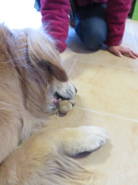 ファイル 4160-1.jpg