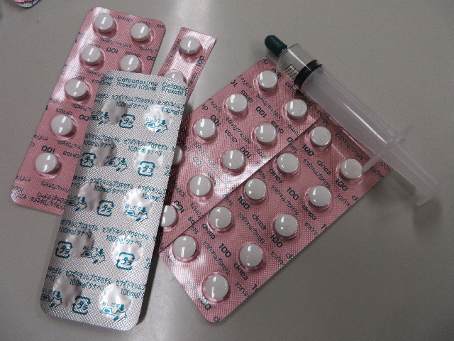 ファイル 4160-5.jpg