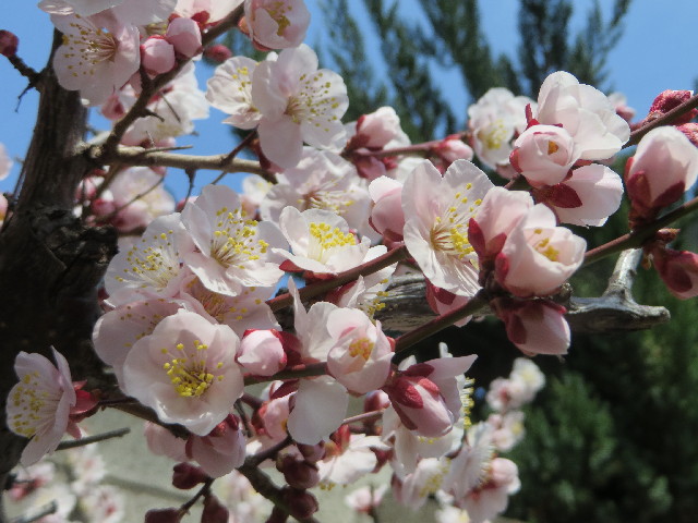 ファイル 4164-2.jpg