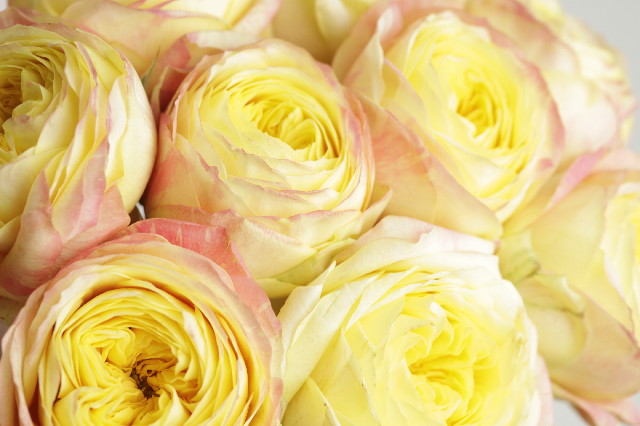 ファイル 4168-5.jpg