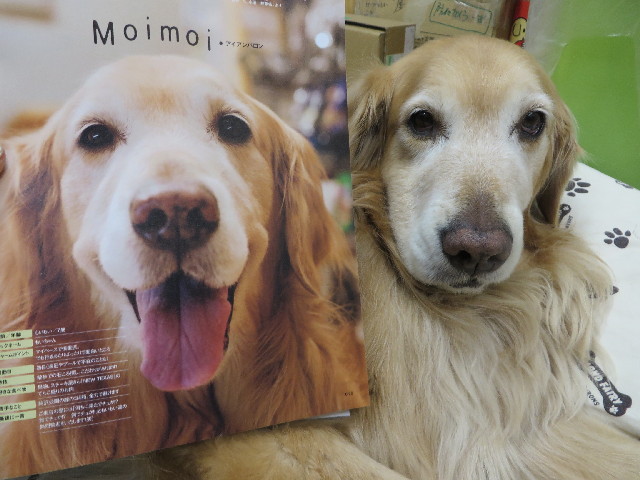 ファイル 4172-1.jpg