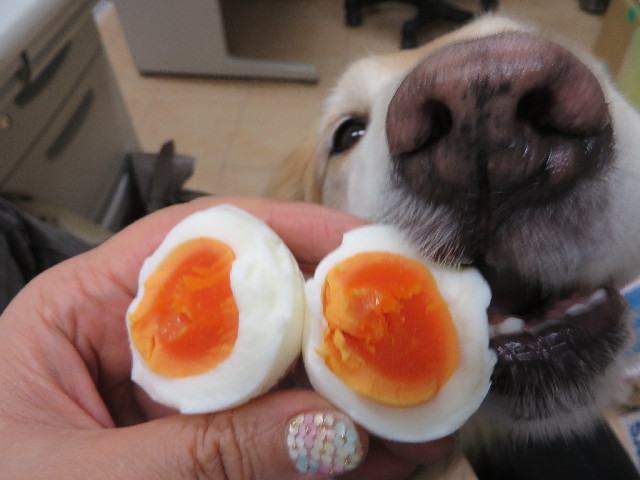 ファイル 4172-3.jpg