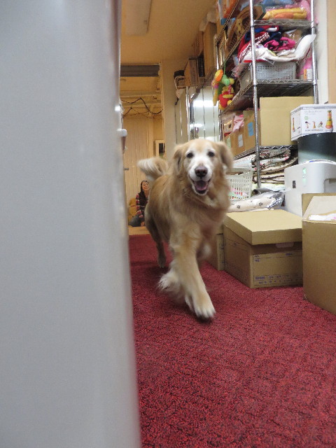 ファイル 4173-4.jpg