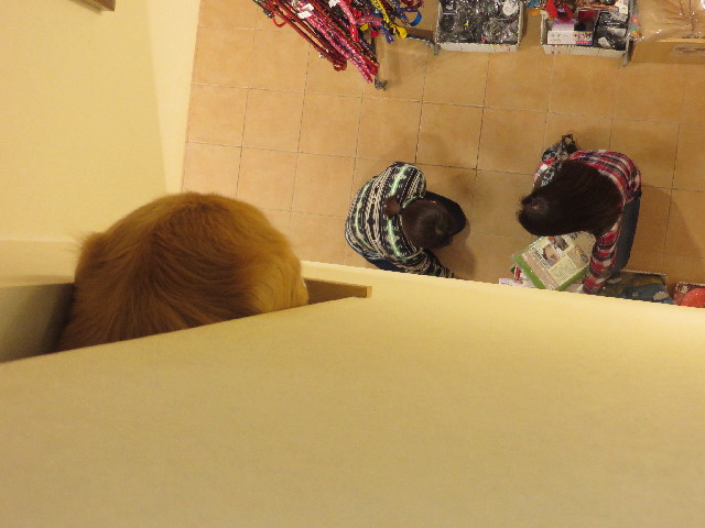 ファイル 4174-4.jpg