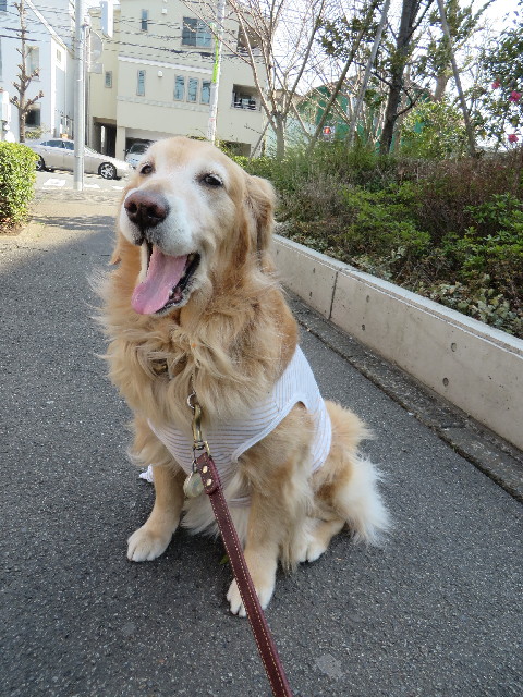 ファイル 4175-1.jpg