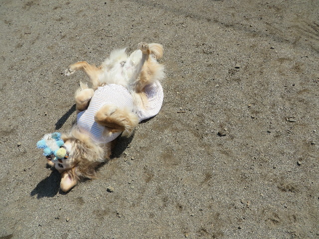 ファイル 4175-2.jpg