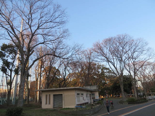 ファイル 4177-1.jpg