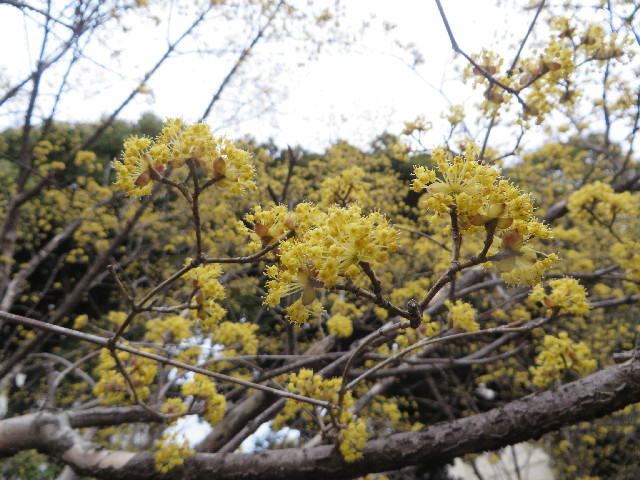 ファイル 4179-4.jpg