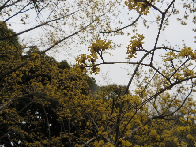 ファイル 4179-5.jpg