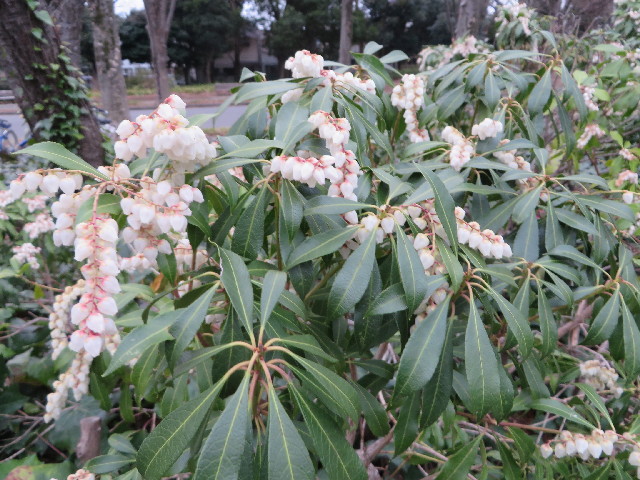 ファイル 4180-2.jpg