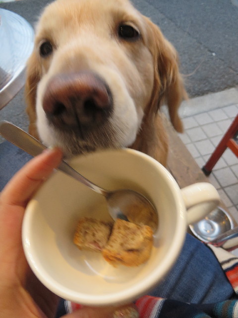 ファイル 4181-5.jpg