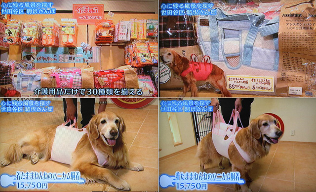 ファイル 4182-4.jpg