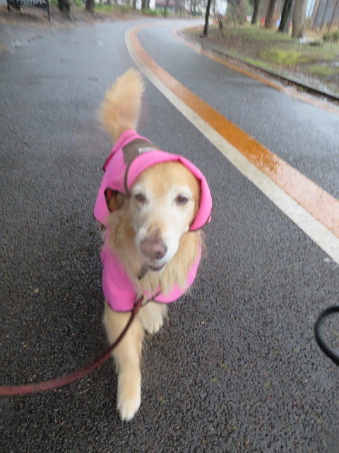 ファイル 4183-1.jpg