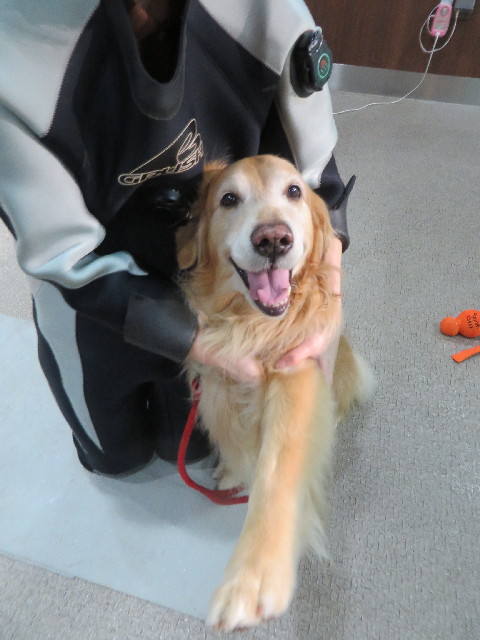 ファイル 4183-3.jpg