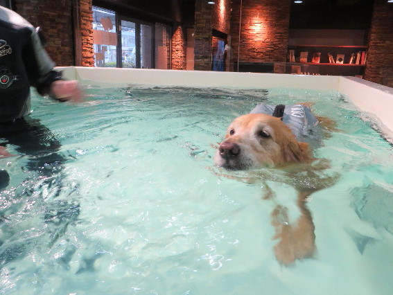 ファイル 4183-4.jpg