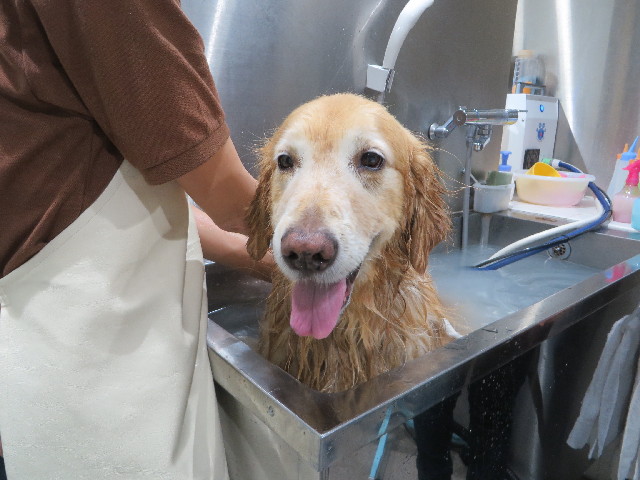 ファイル 4183-5.jpg